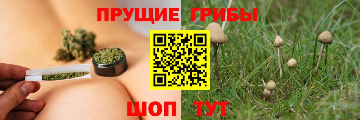 магазин  наркотиков  Вход с VPN  Магнитогорск  Псилоцибиновые грибы Magic Shrooms 
